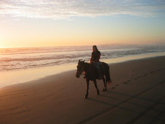 Ritoque Expeditions-Concon必去景点