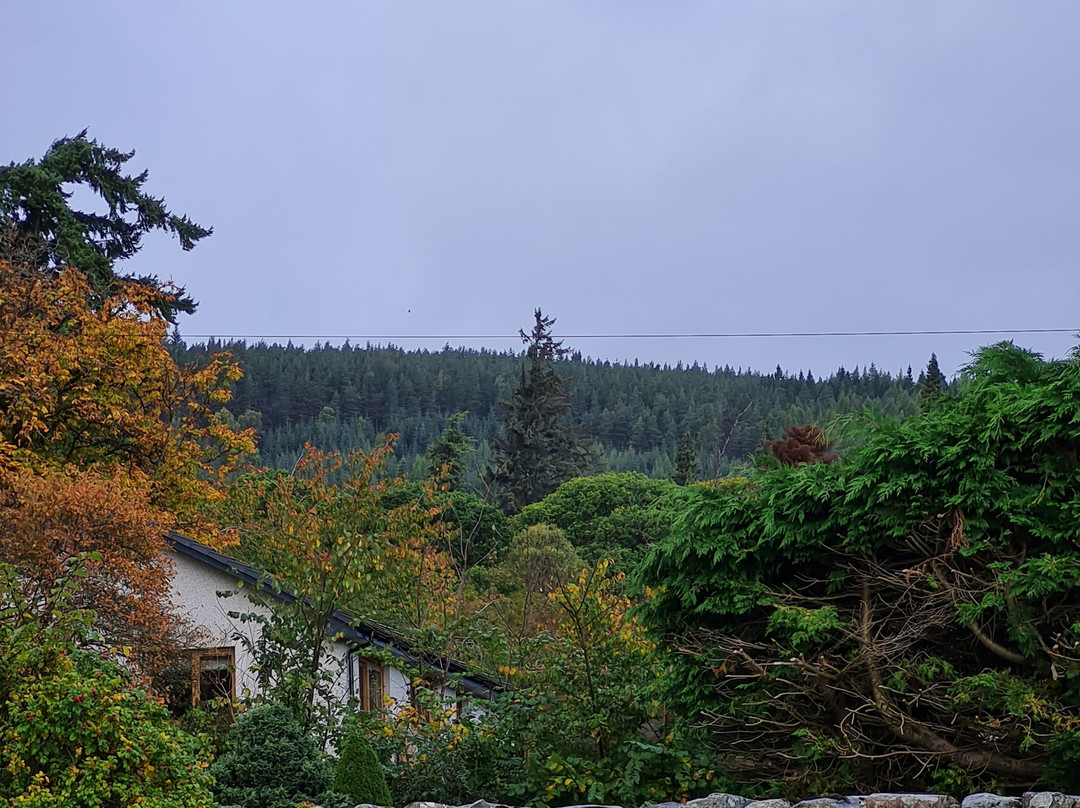 Balmridge House主图