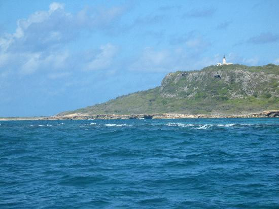 Caribbean Images Tours景点图片