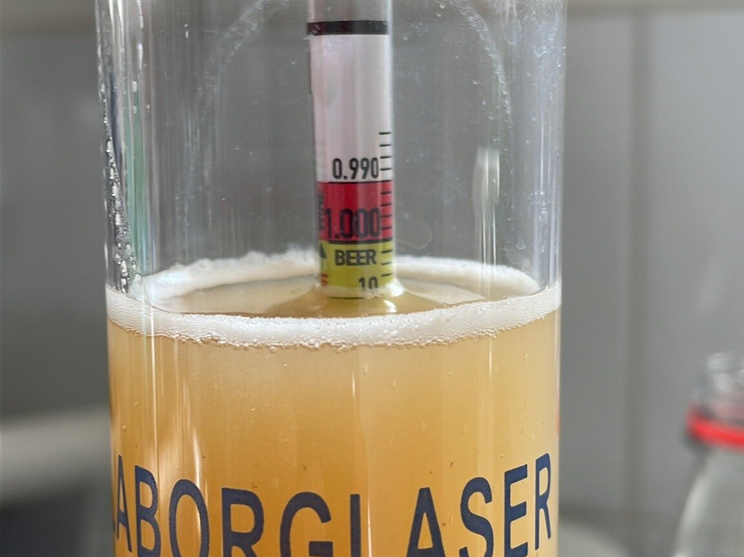 Coliumo-Tome必去景点