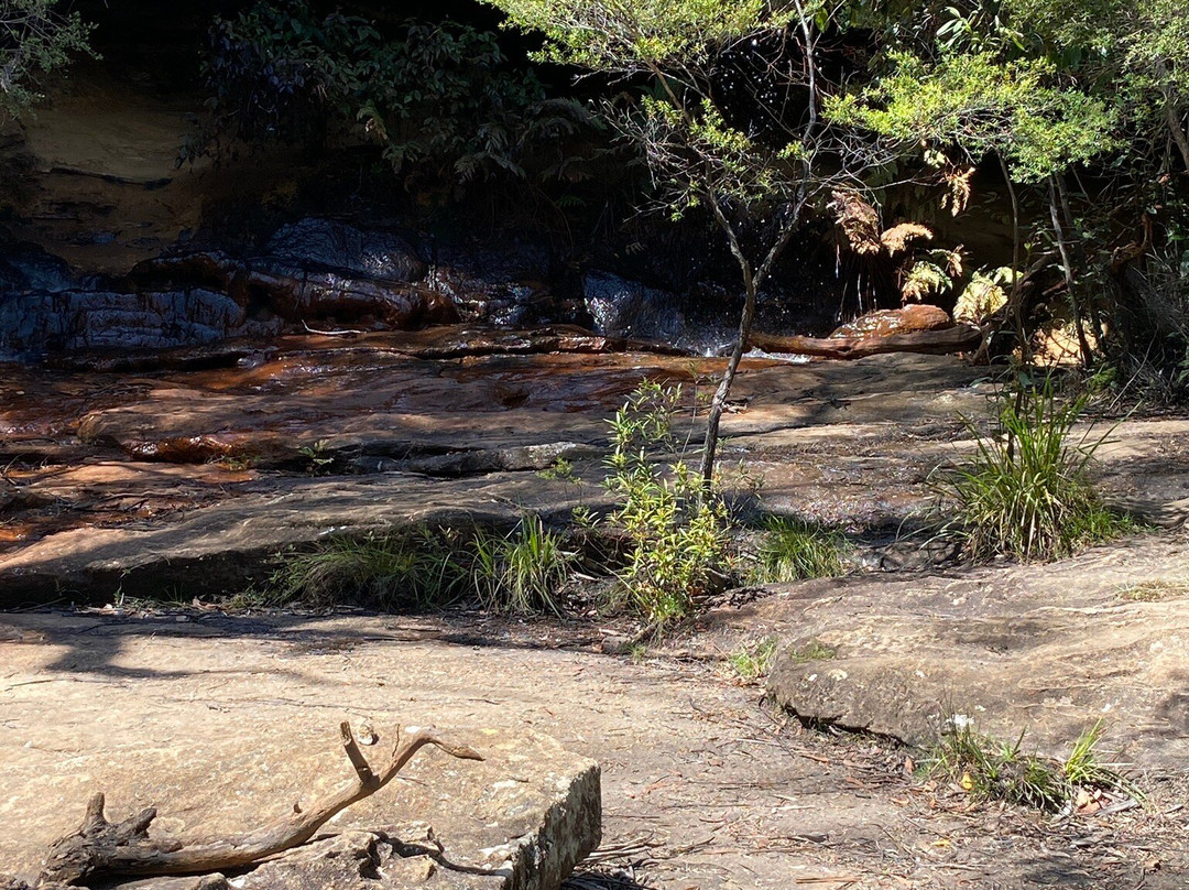 North Lawson Park景点图片
