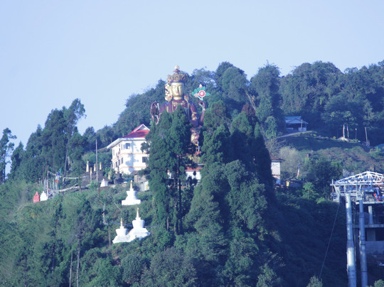 Retreat Crassula Ovata主图