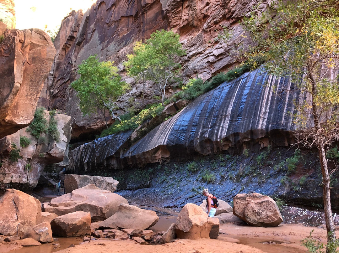 Water Canyon Trailhead景点图片