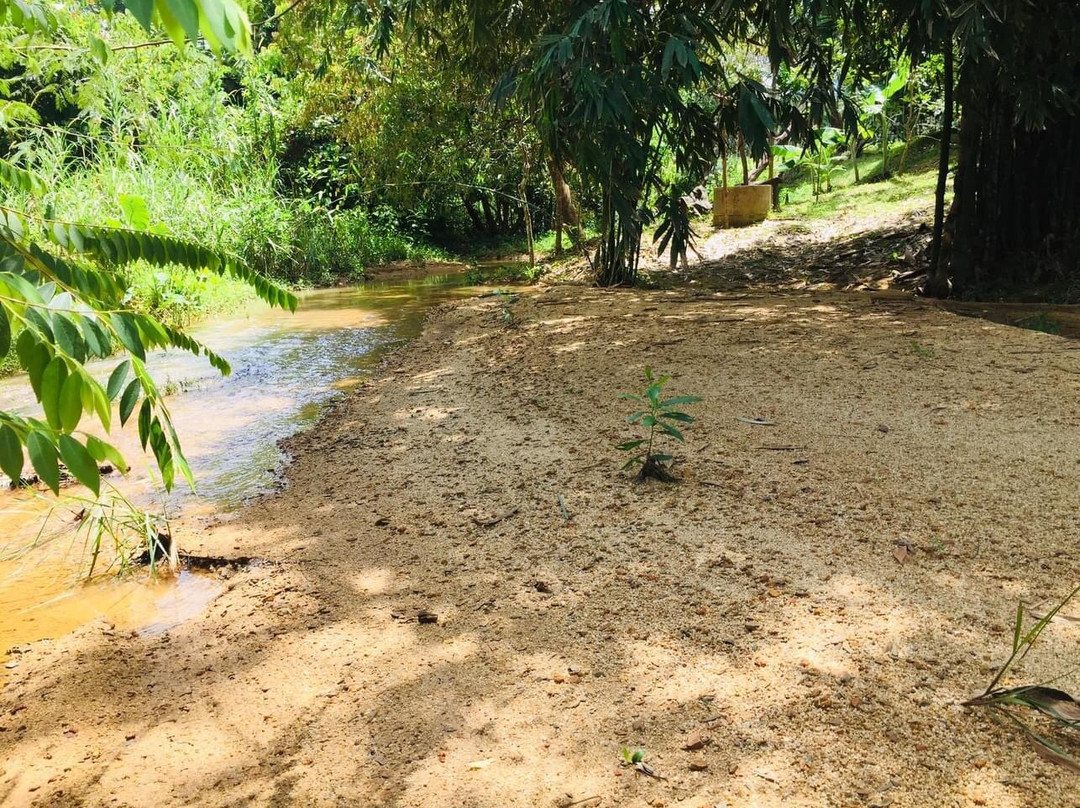 Baansuan Suksangob Farm Stay