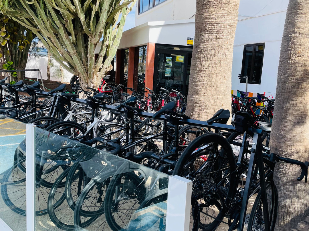 Papagayo Bike - Costa Teguise-科斯塔特吉塞必去景点