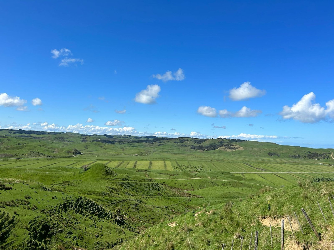 Te Karaka Station & Lodge主图