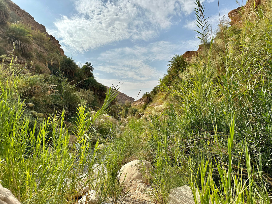 Wadi Bin Hammad-Karak必去景点
