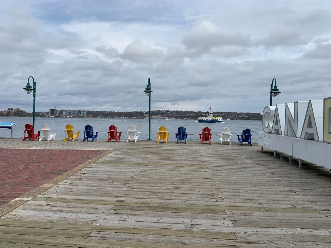 哈利法克斯万豪港湾酒店主图