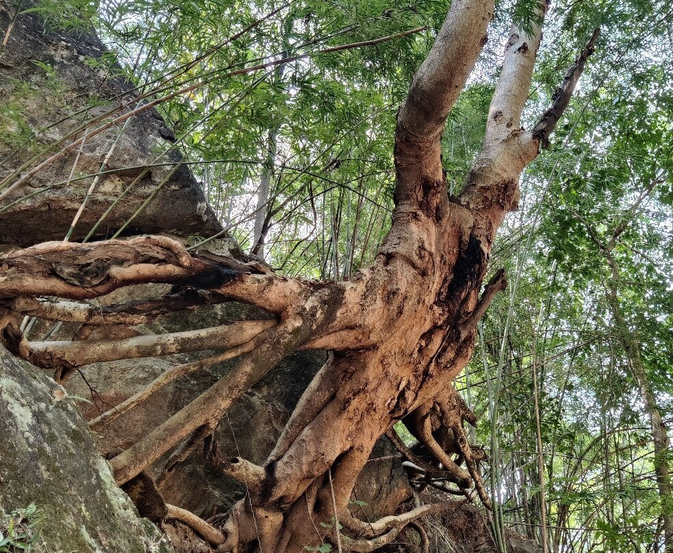 Op Luang National Park-福县必去景点
