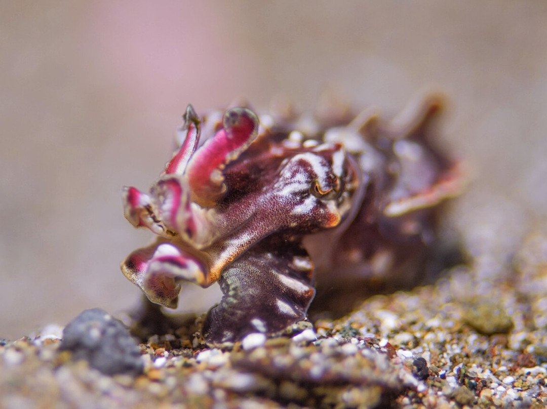 阿尼洛印相酒店主图