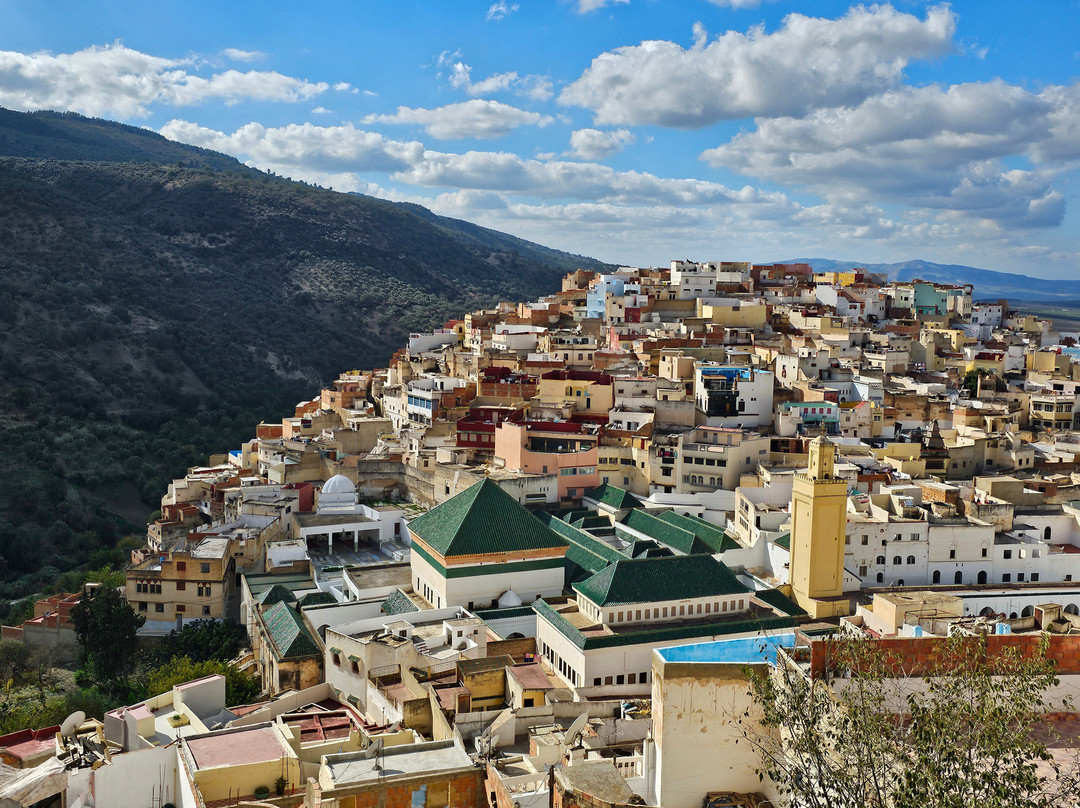 Morocco Customized Tours-Ifrane必去景点