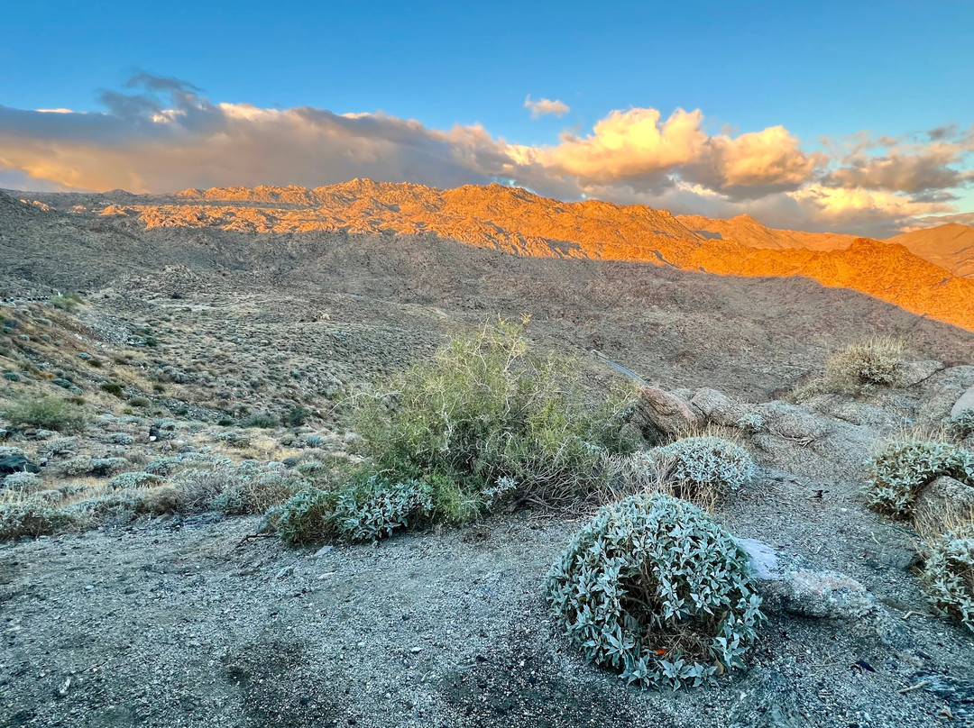 Palm Springs Visitor Center-棕榈泉市必去景点