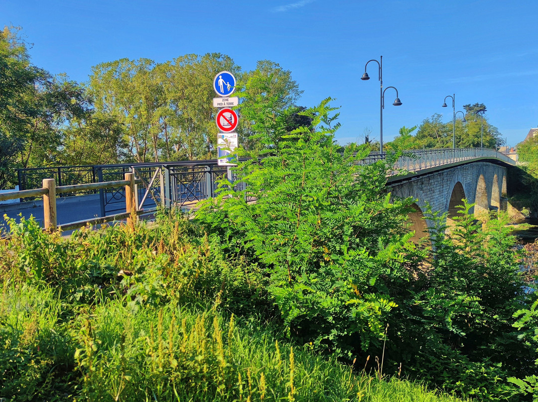 Pont de Dangé-Saint-Romain景点图片