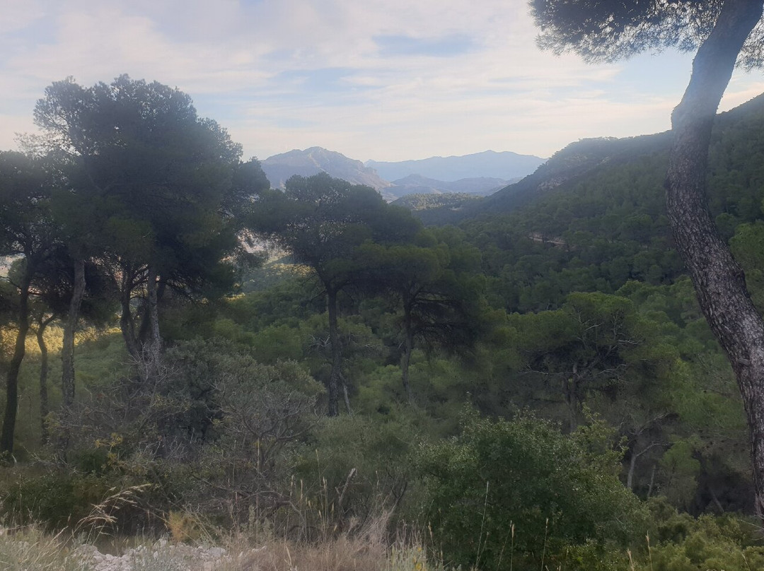 Sierra del Maigmó景点图片