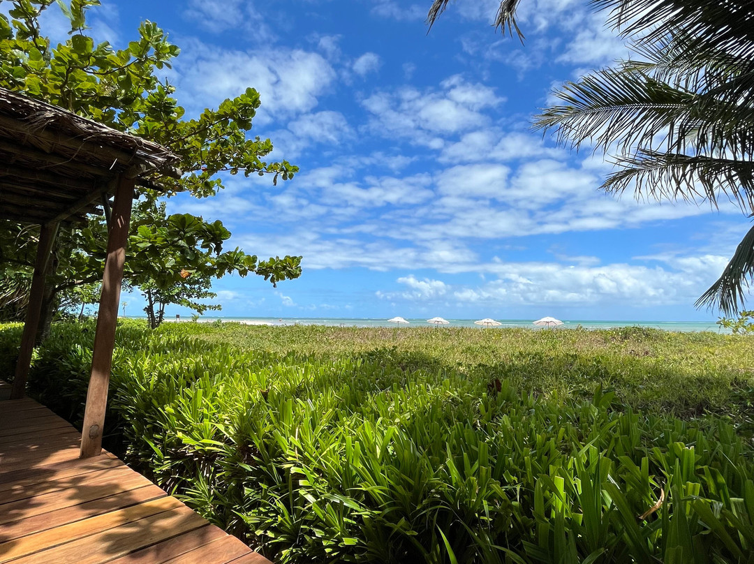 Pousada da Amendoeira主图