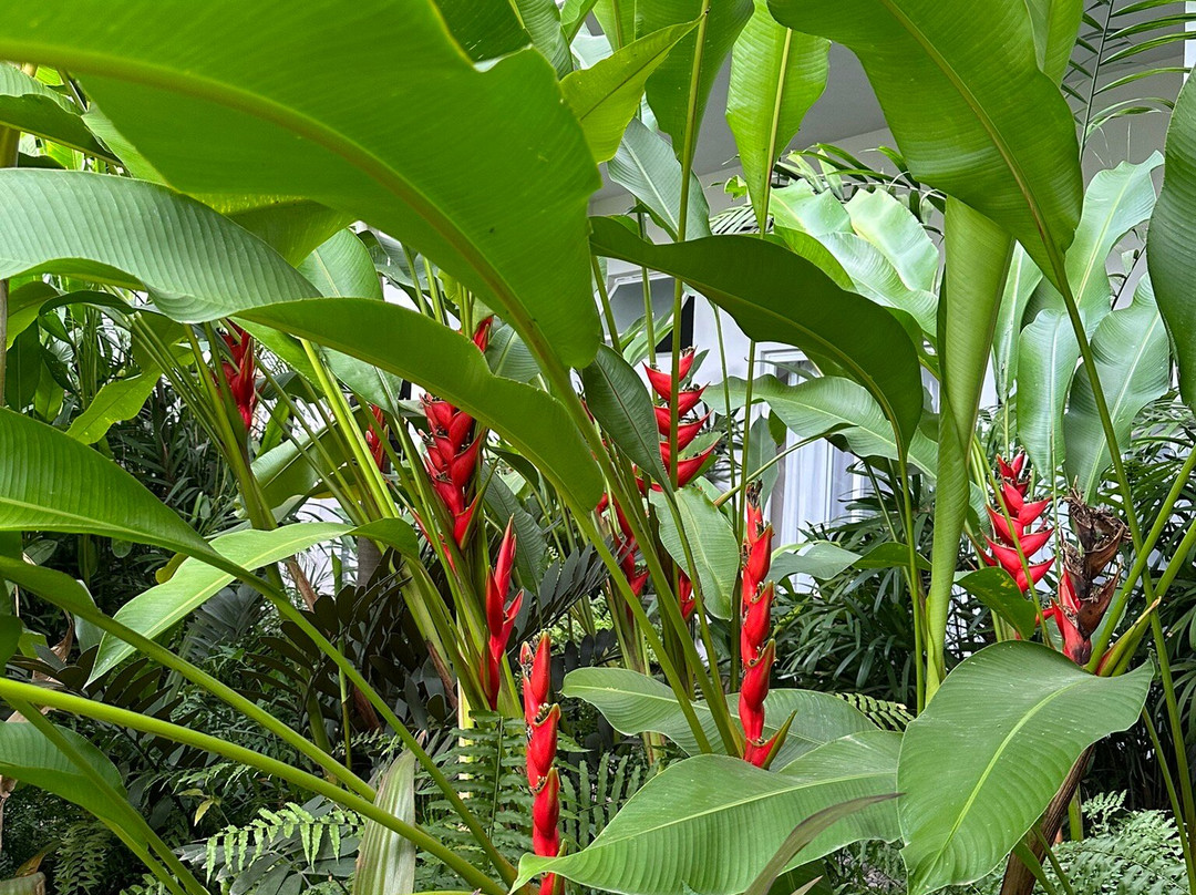 Marii Hotel Boutique主图