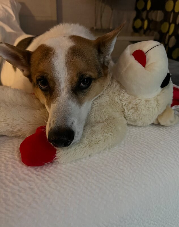 SpringHill Suites By Marriott Prescott主图