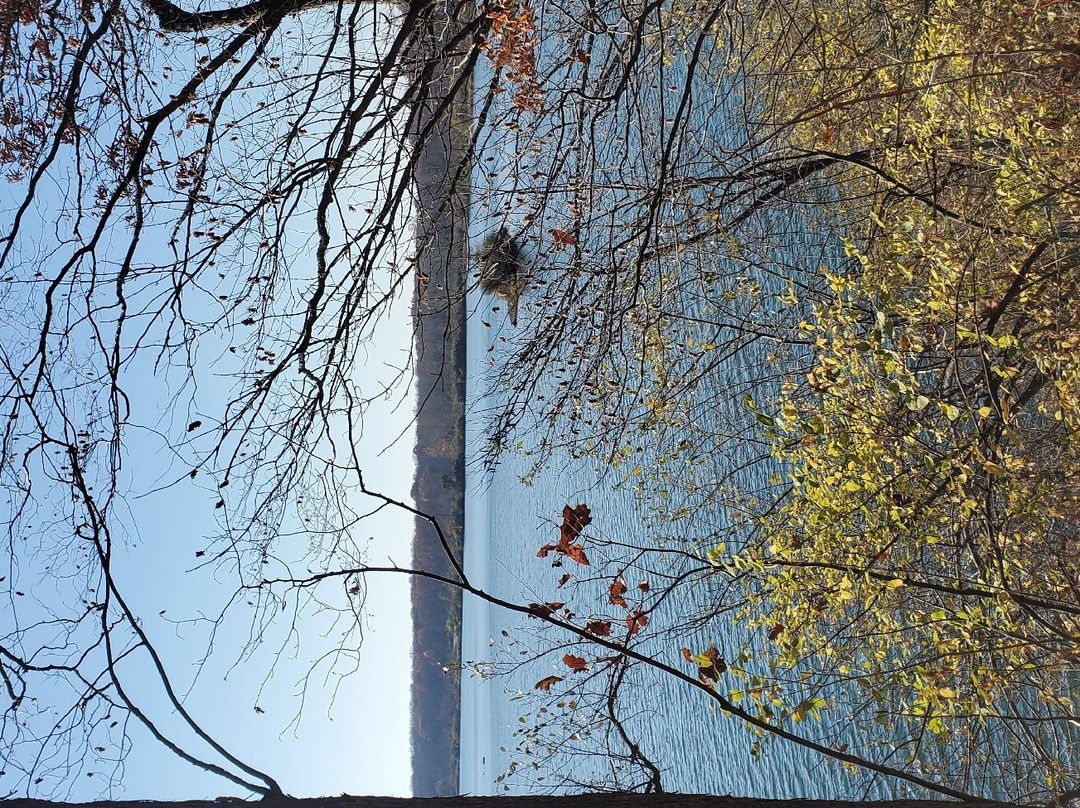 Eagle Creek Park-印第安纳波利斯必去景点