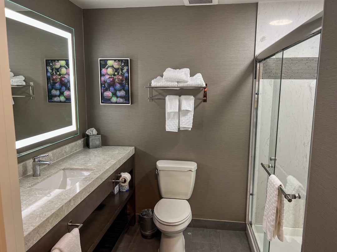 Best Western Plus Temecula Wine Country Hotel & Suites主图