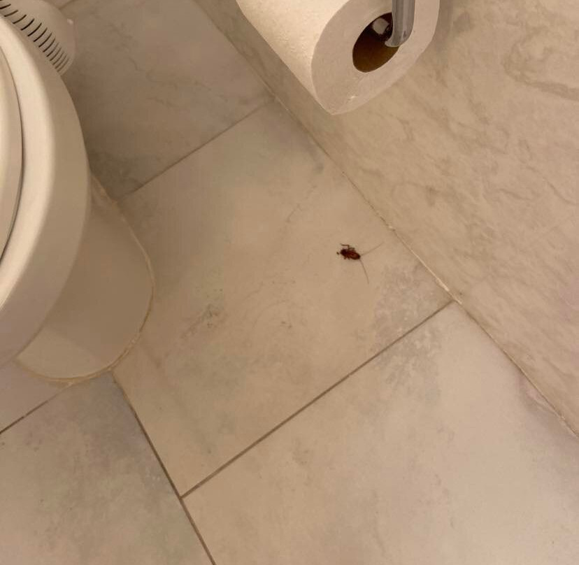 Clairfont Apartments主图