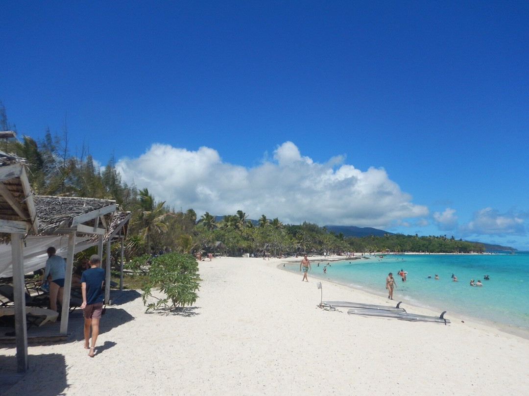 Mystery Island Tours-Aneityum Island必去景点