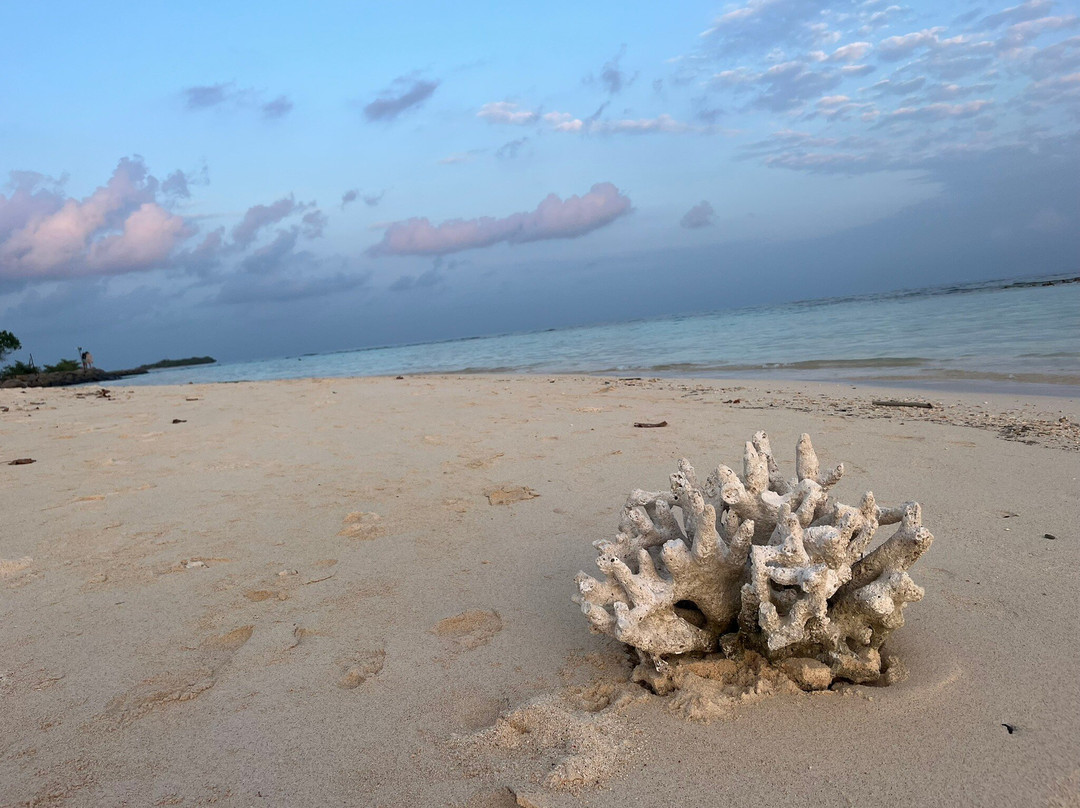 Summer Vibes Beach Front主图