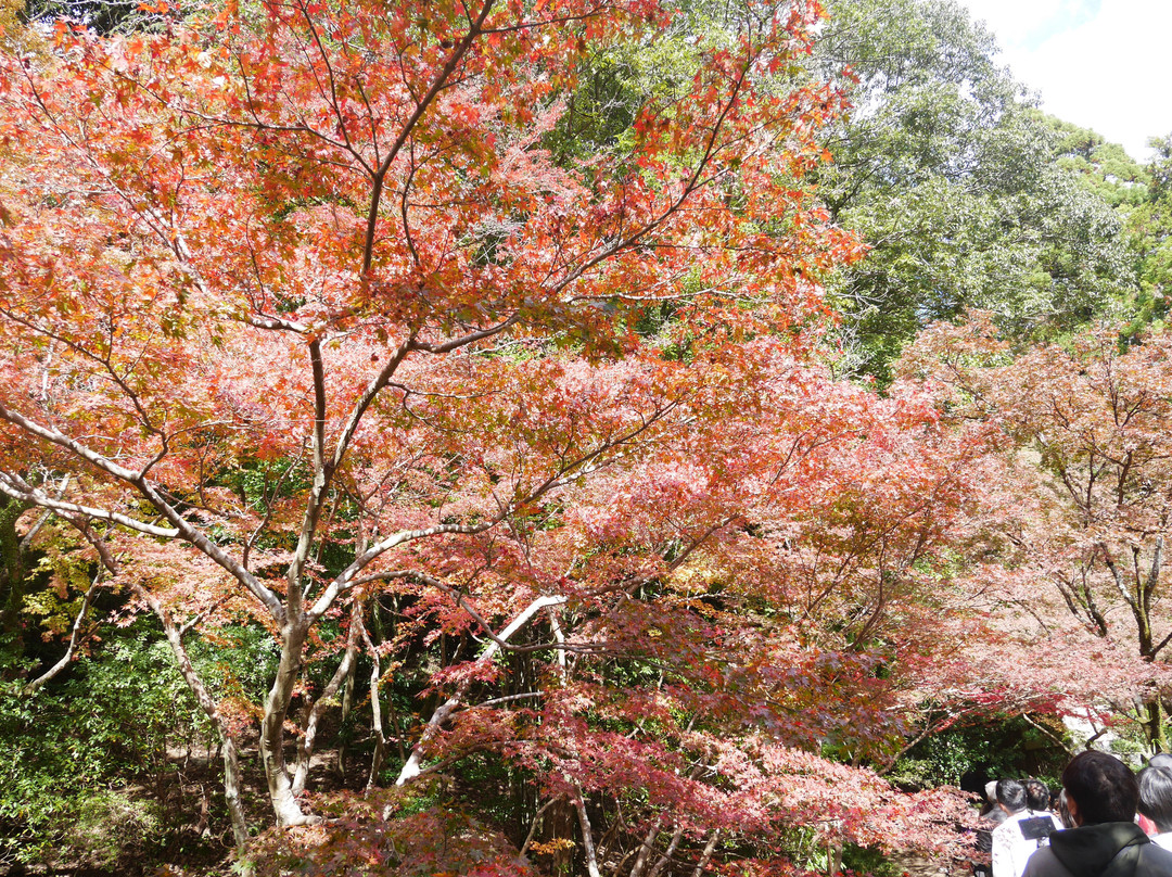 Kunenan-神埼市必去景点