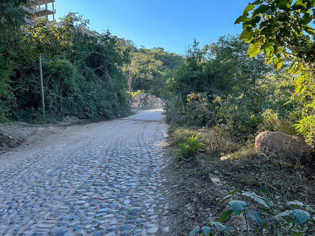 Eco Ride Mountain Bike & Hiking Tours-瓦拉塔港必去景点