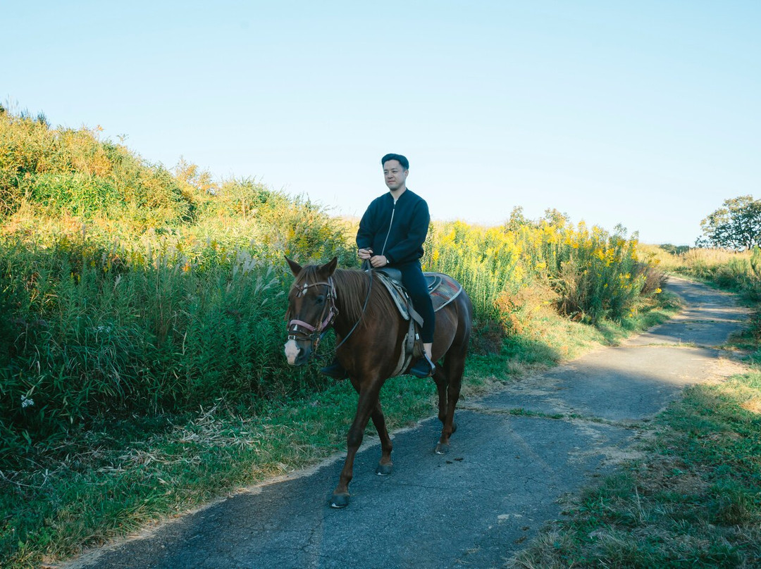 Yumedaichi Green Valley-阿苏市必去景点