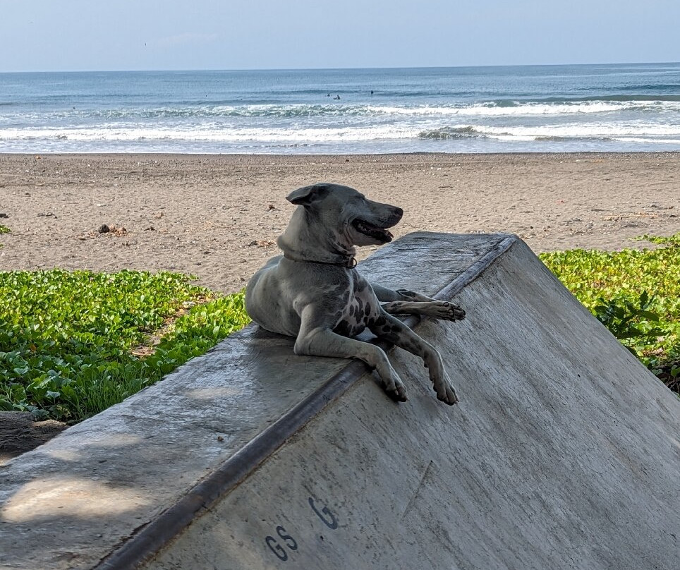 Sea Medewi Resort & Beach Club主图