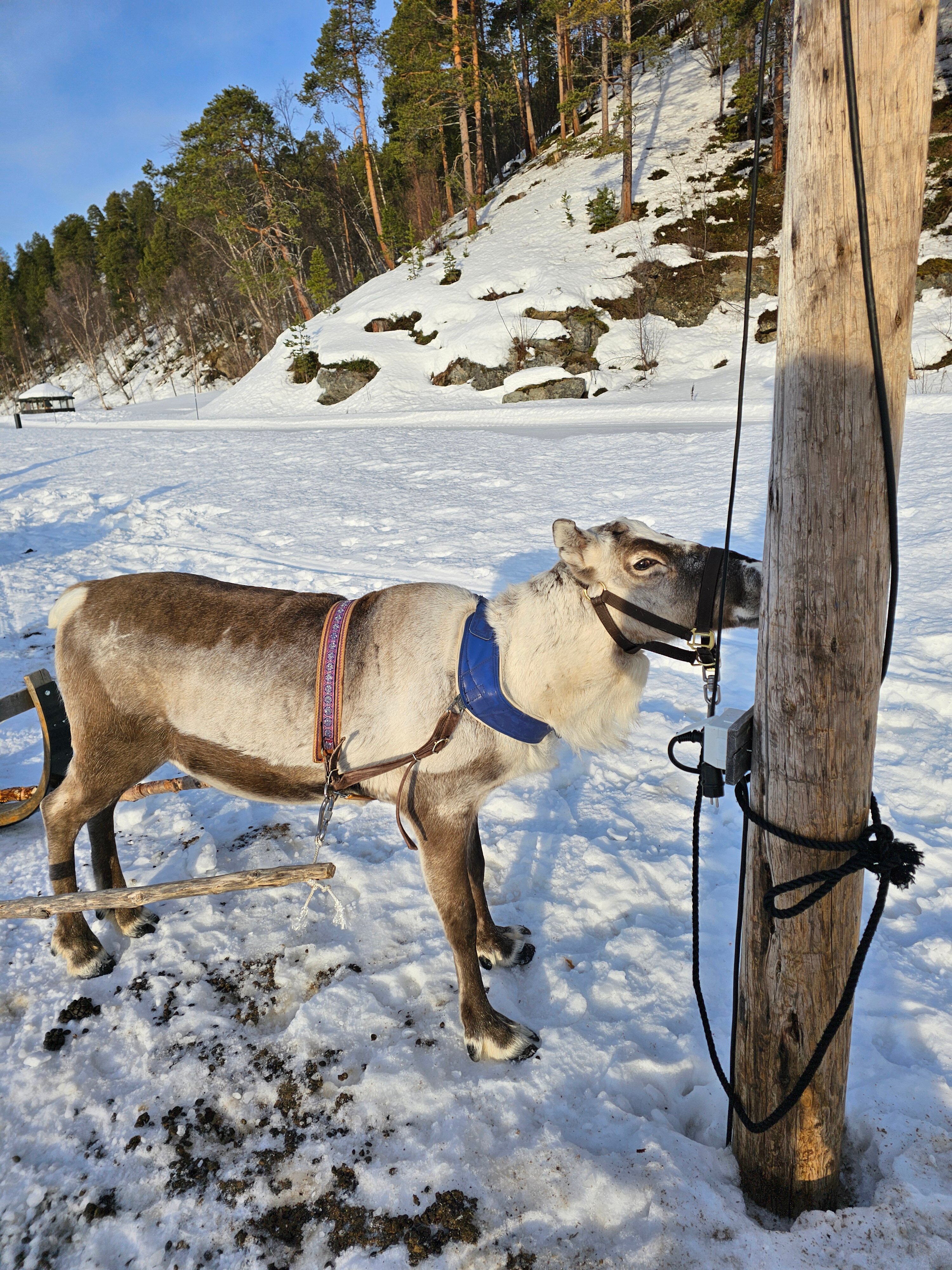 Sorrisniva Arctic Wilderness Lodge-浴室