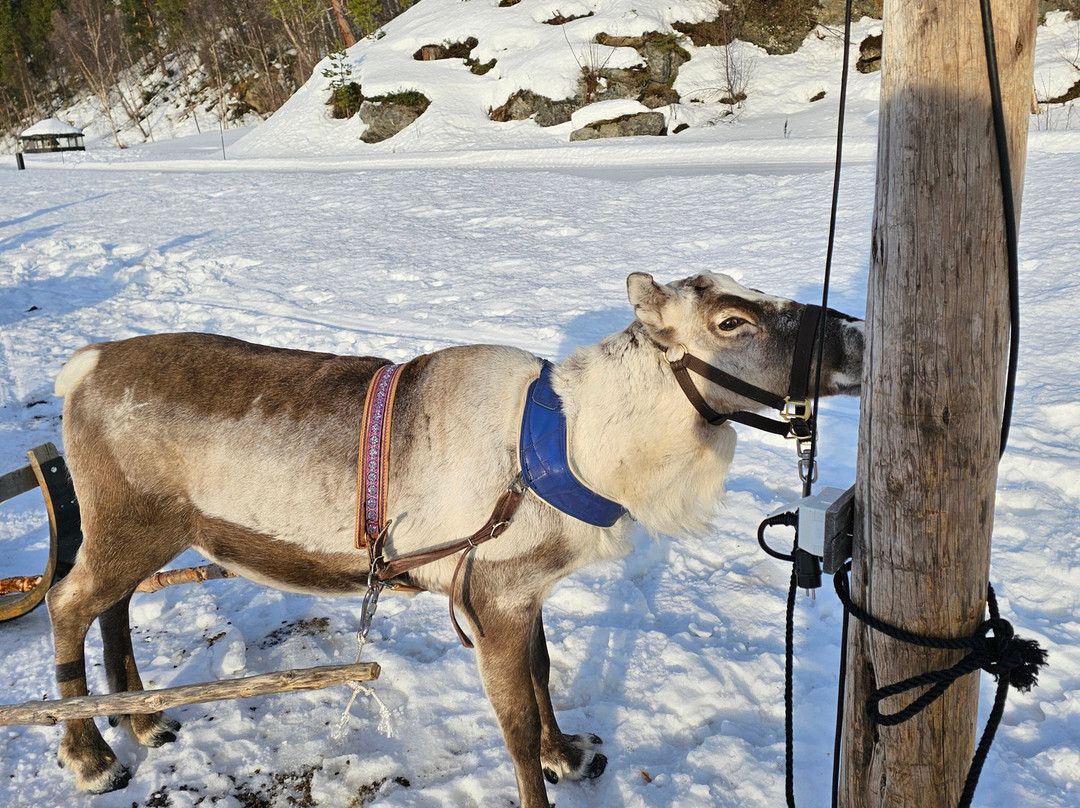 Sorrisniva Arctic Wilderness Lodge主图