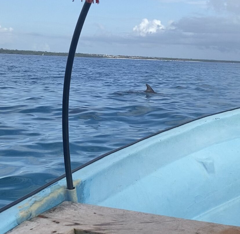 Ramso Zanzibar Tour-帕杰必去景点