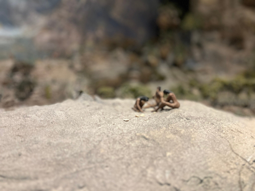 Museo de Antropologia e Historia de Baja California Sur-拉巴斯必去景点