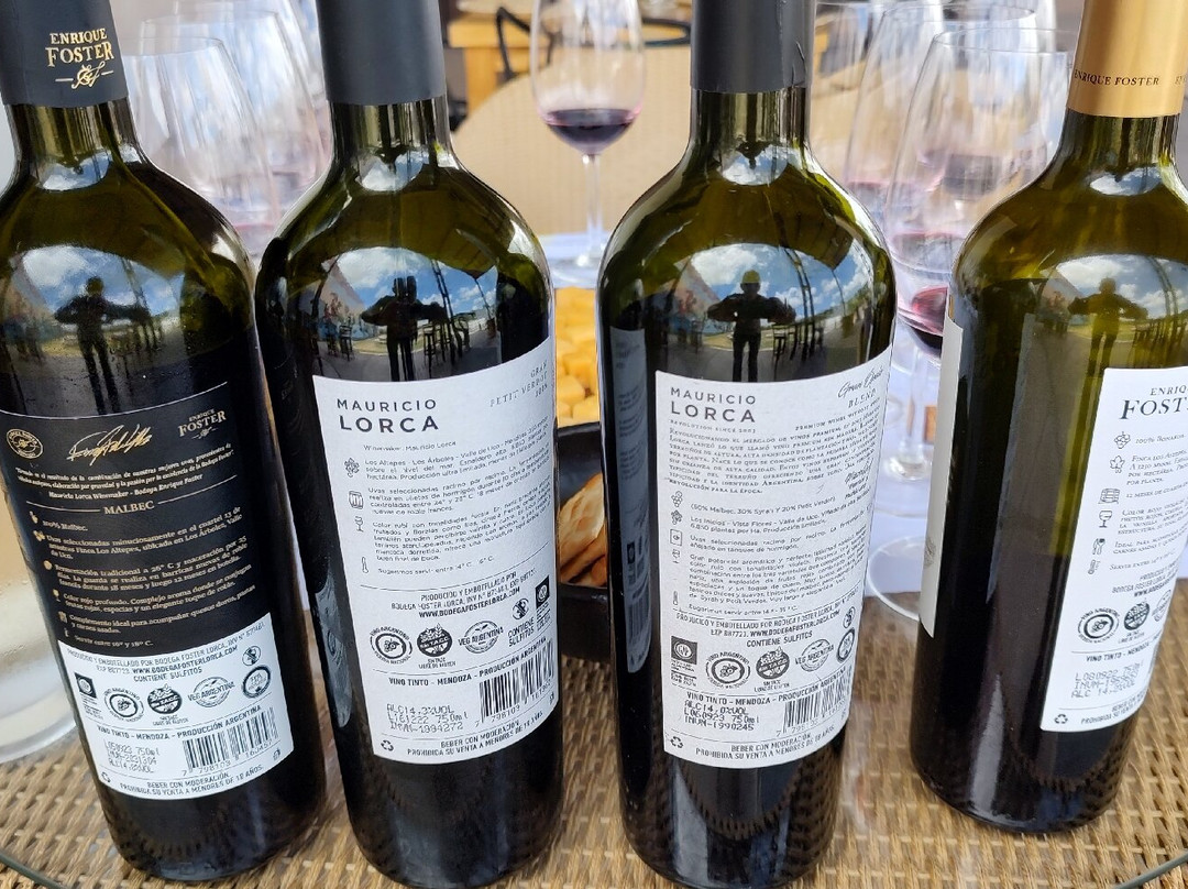 Bodega Mauricio Lorca-路冉得库约必去景点