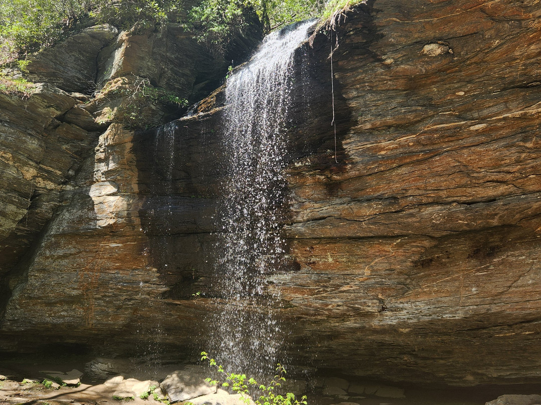 Moore Cove Falls景点图片