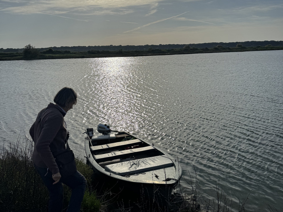 Birdwatching Marina Romea景点图片