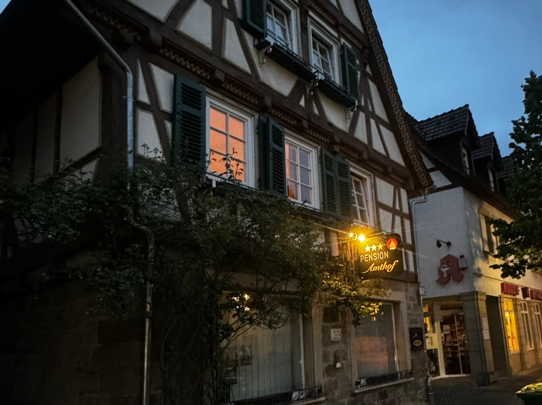 Pension Amthof主图