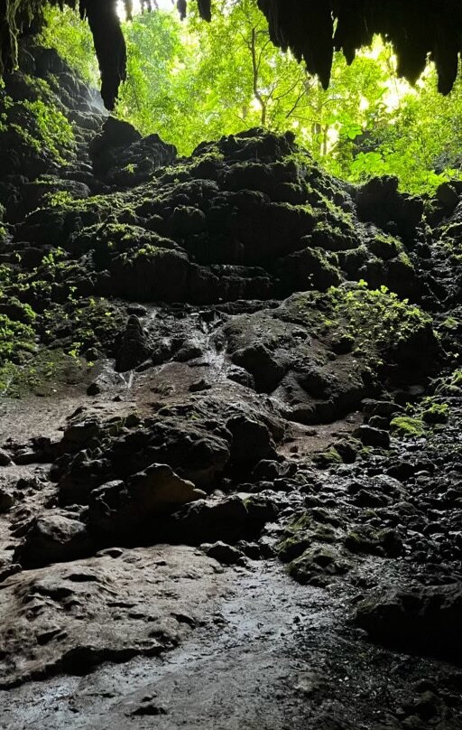 里约热内卢佳美洞公园 (Parque de las Cavernas del Rio Camuy)景点图片