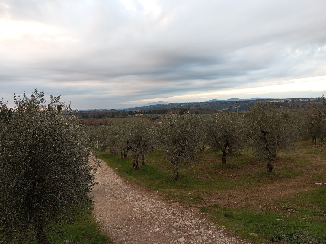 Lionforti da Vico主图