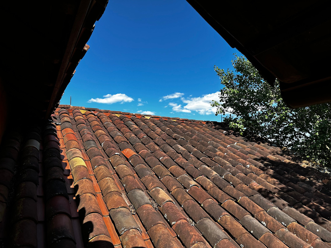 Blue Sky Vineyard景点图片