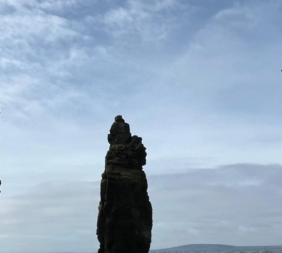 West Coast RIB Adventures-Kilrush必去景点