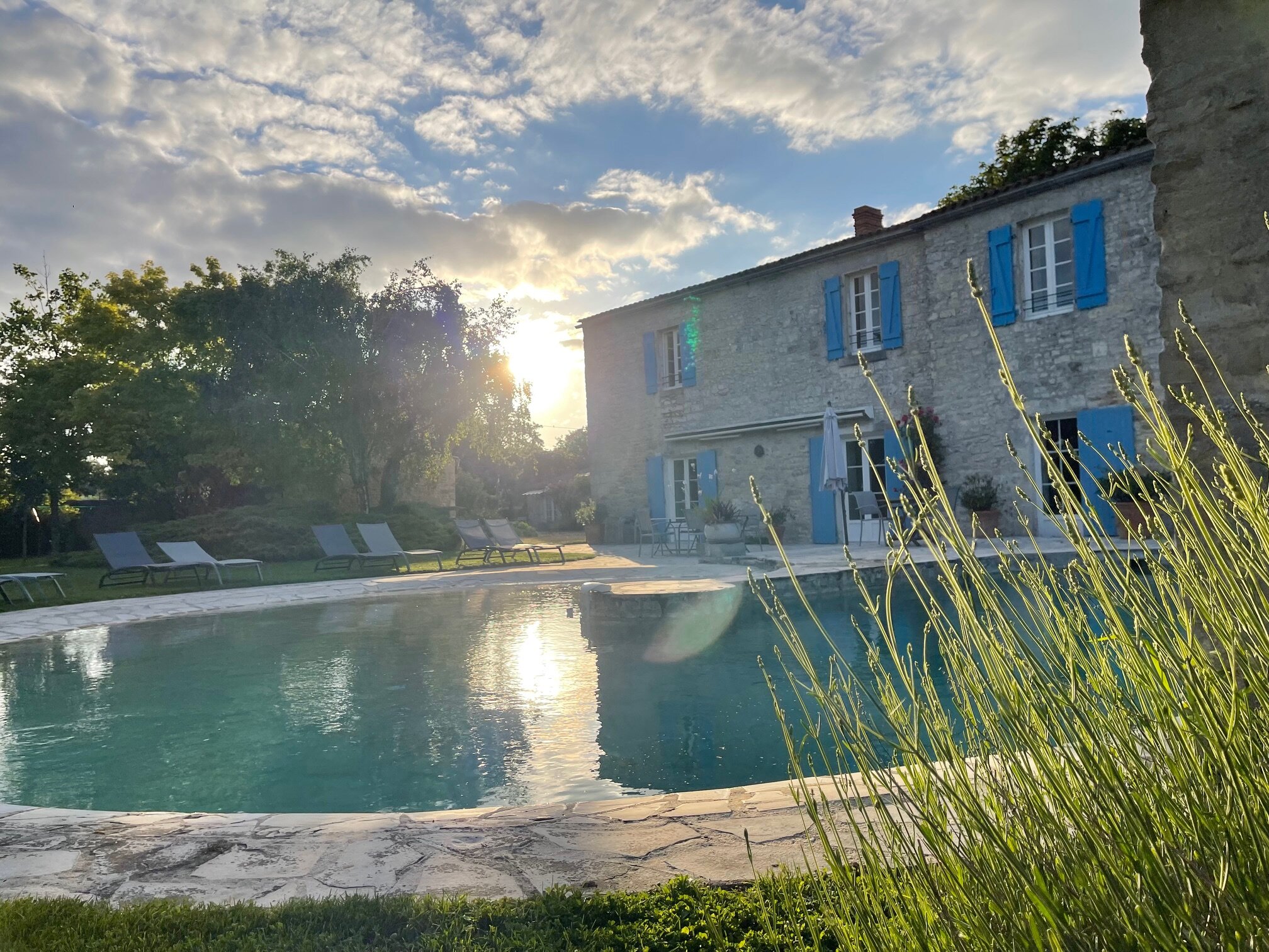 Logis Saint Leonard-泳池