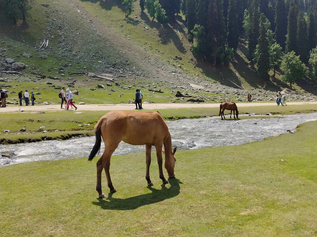 The Travelling Guide-Dewas必去景点