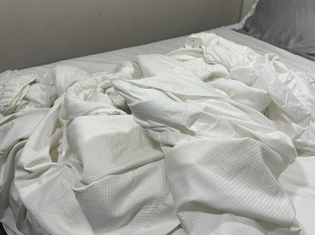 Villa 1565 Hotel主图