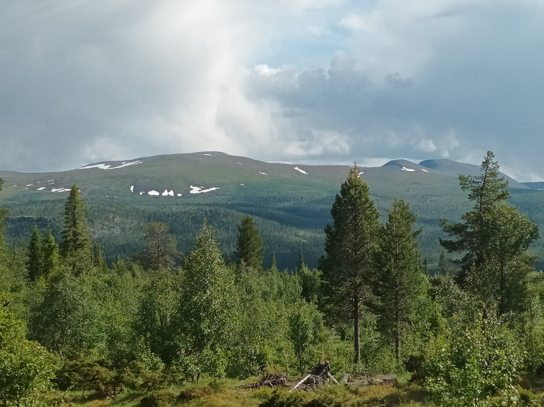 Lofsdalsfjallen Camping