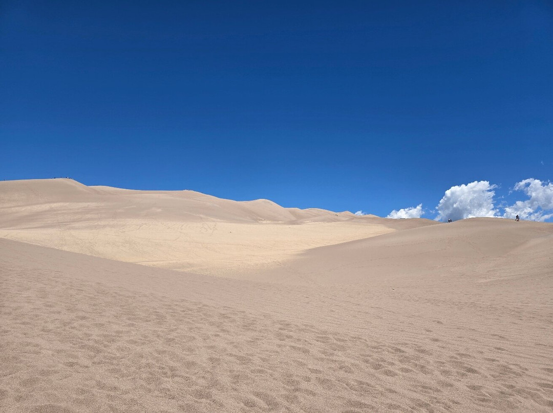 Holiday Inn Express & Suites Alamosa By IHG主图