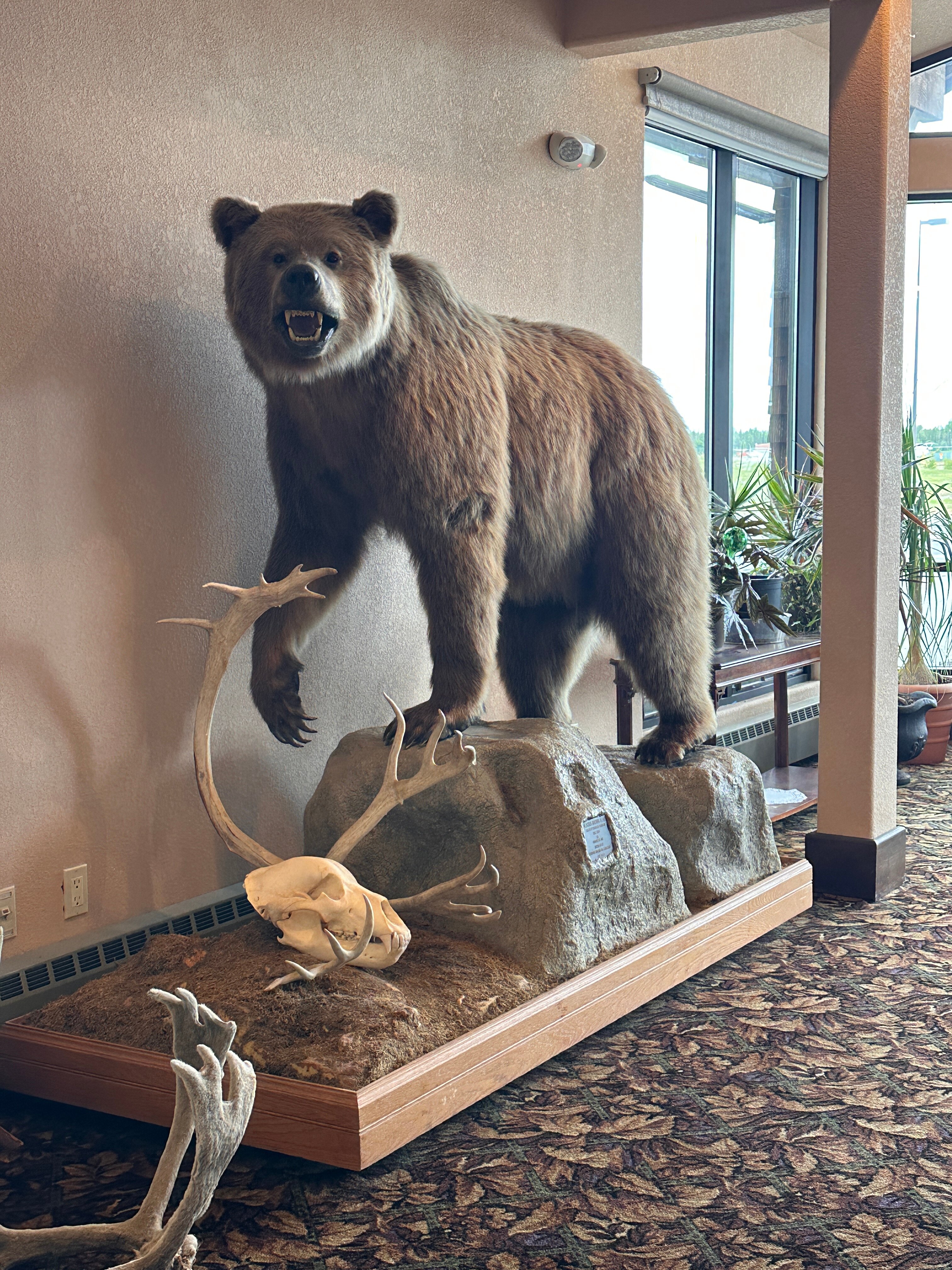 Kenai Airport Hotel-官方
