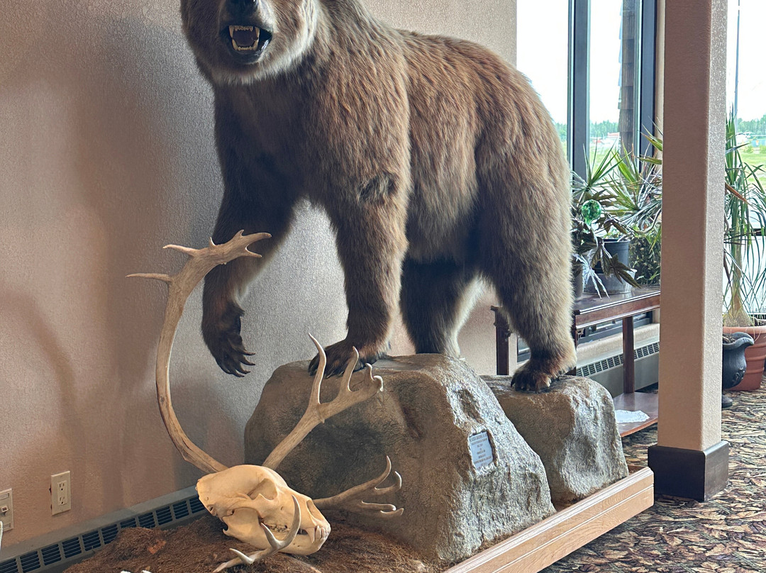 Kenai Airport Hotel主图