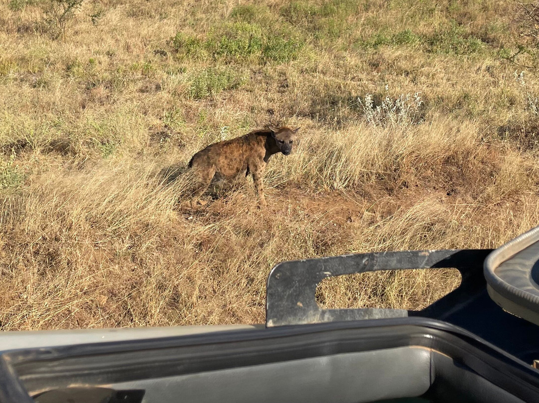 Safari Mapeka-瓦塔木必去景点